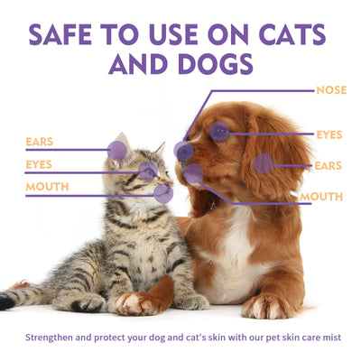 Pet Relieve Skin Spray And Relieve Itching