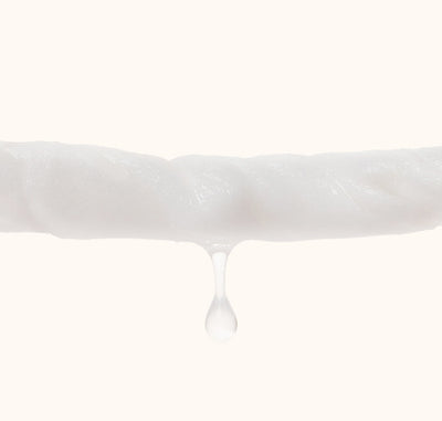Pet Wipes Cat Dog Wipes